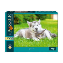 Пазл "Друзья" Danko Toys C1000-13-05, 1000 элементов