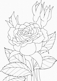 Роспись на холсте. Art Craft "Роза" 25х30 см 15505-AC