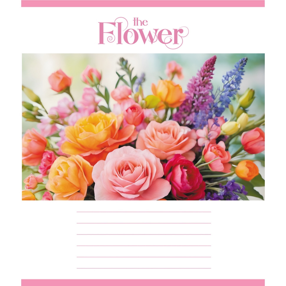 Зошит учнівський 