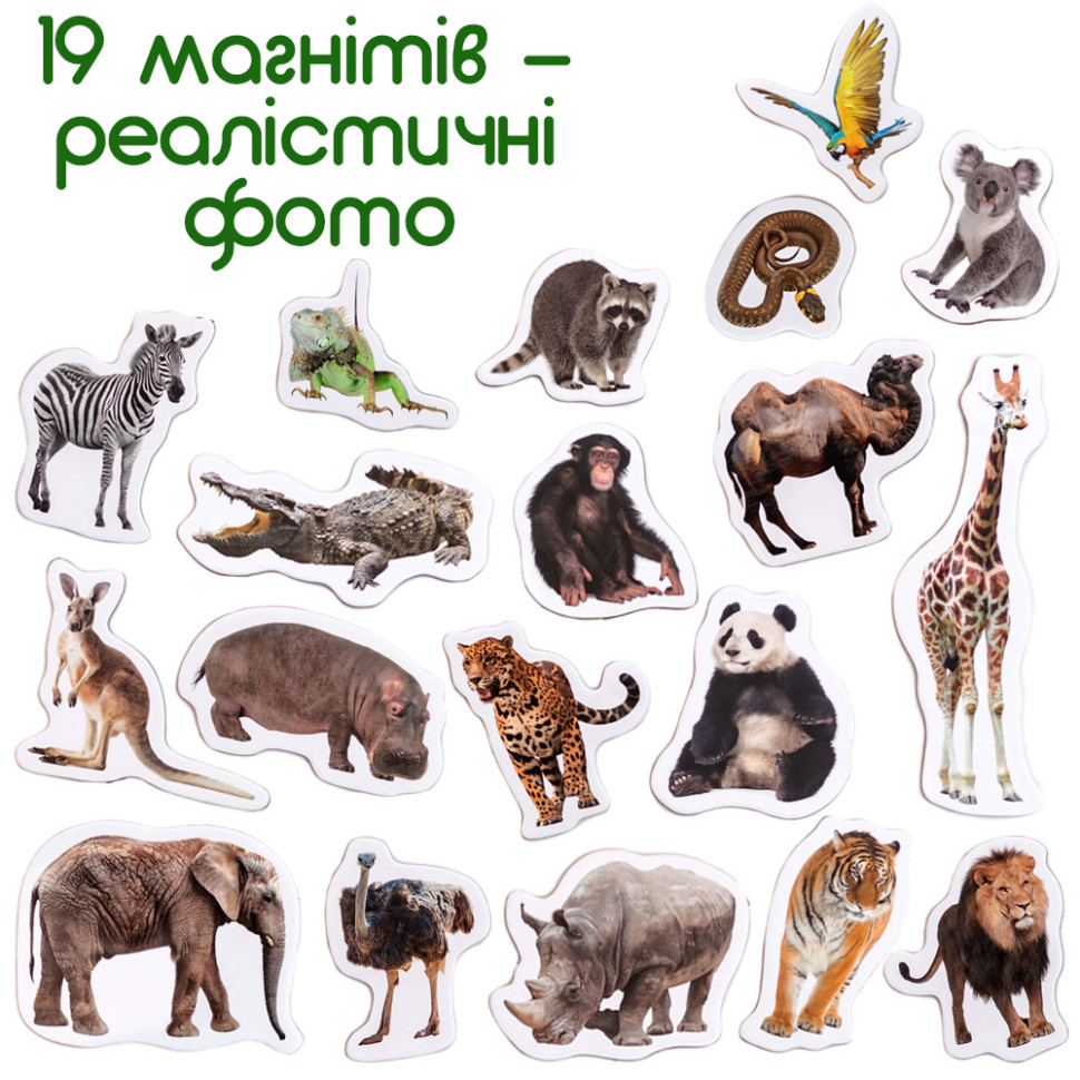 Набір магнітів 