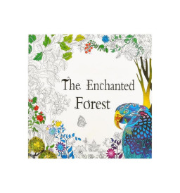 Розмальовка антистрес "The Enchanted Forest" COLOR-IT GDM-015, 12 аркушів