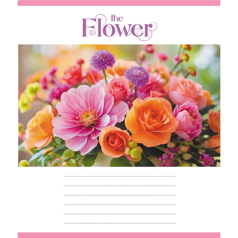 Зошит учнівський 