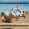 Алмазная вышивка на подрамнике "Две лошади" The Wortex Diamonds TWD20030