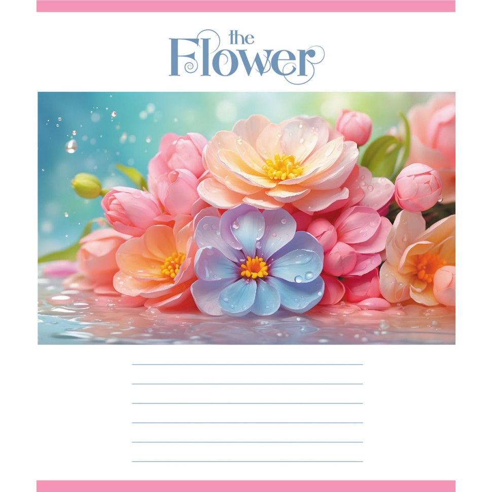 Зошит учнівський 