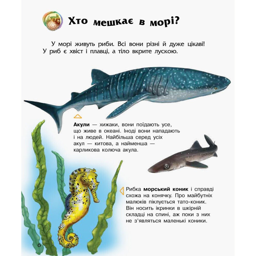 Энциклопедия дошкольника Океаны и моря Ранок 614055 для самых маленьких