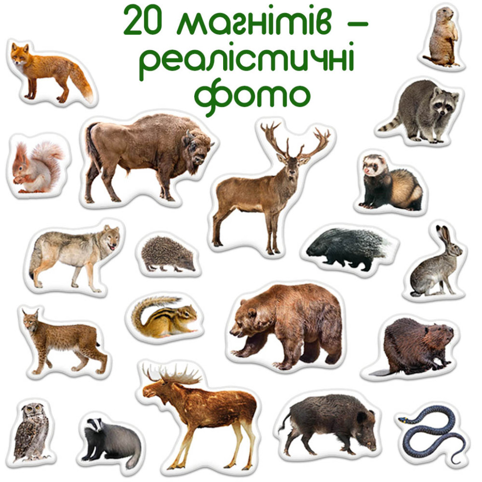 Дитячий набір магнітів Лісові мешканці фото Magdum ML4031-29 EN