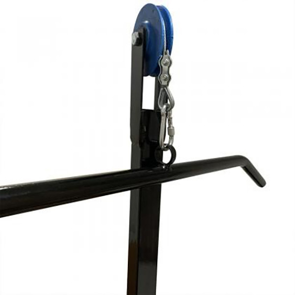 Скамья со стойкой для штанги ProGym Plus Newt NE-SK-0680