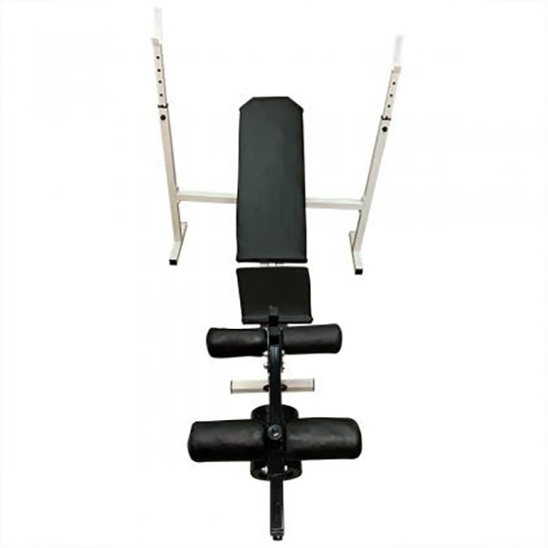 Скамья со стойкой для штанги ProGym Plus Newt NE-SK-0680