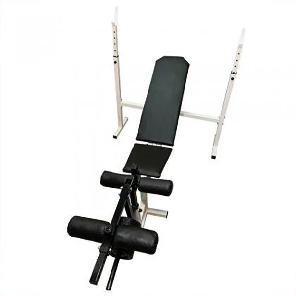 Скамья со стойкой для штанги ProGym Plus Newt NE-SK-0680