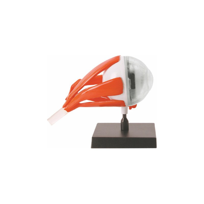 Научний набір 