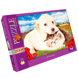 Пазл классический "Friendship" Danko Toys C2000-01-09, 2000 элементов