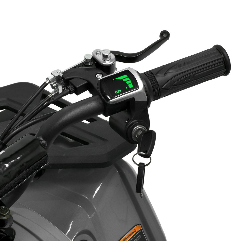 Детский электромобиль Квадроцикл Prof1 HB-FFA1000-11-5(MP3) до 65кг