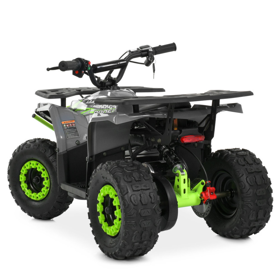 Детский электромобиль Квадроцикл Prof1 HB-FFA1000-11-5(MP3) до 65кг