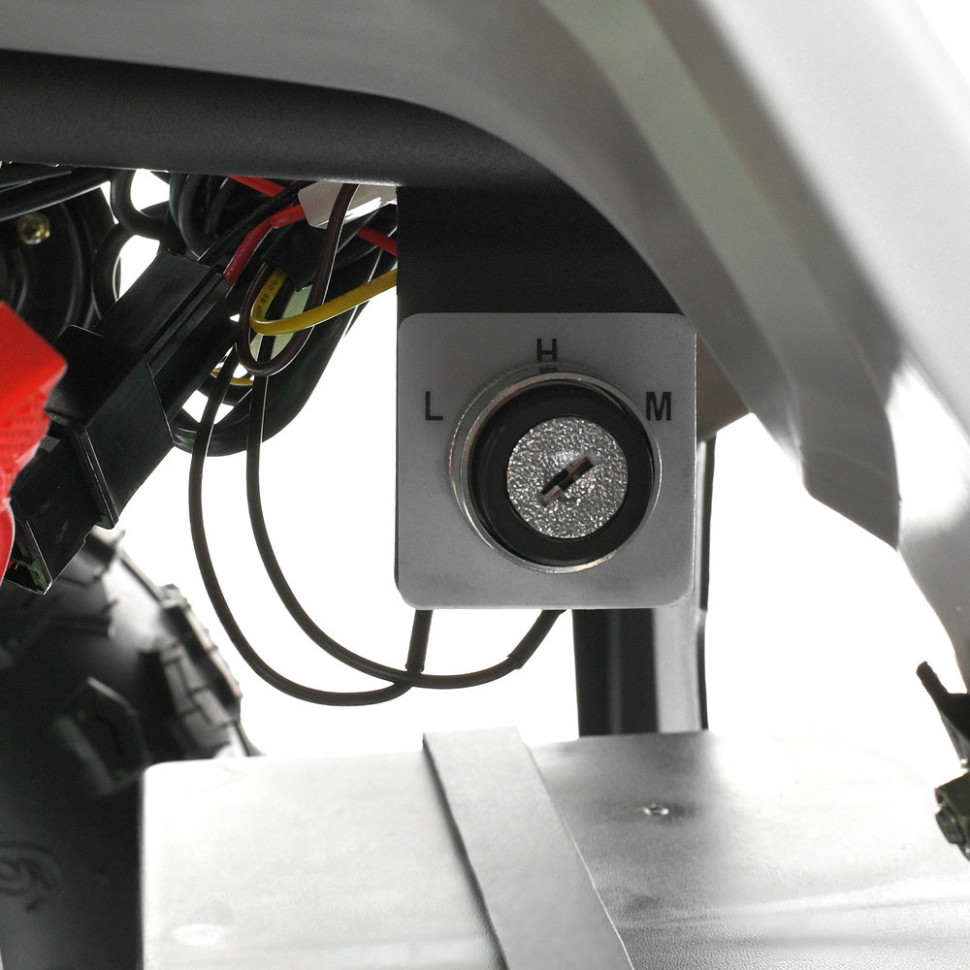 Детский электромобиль Квадроцикл Prof1 HB-FFA1000-11-5(MP3) до 65кг