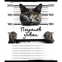Тетрадь общая "Криминал" Leader 048-590593K-2 в клетку, 48 листов