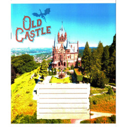 Тетрадь общая "Старые замки" Leader 048-600179L-3 в линию, 48 листов (959060)