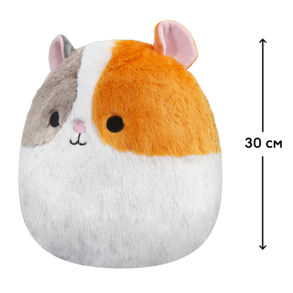 М'яка іграшка Морська свинка Еверетт Squishmallows SQCR00339, 30 см