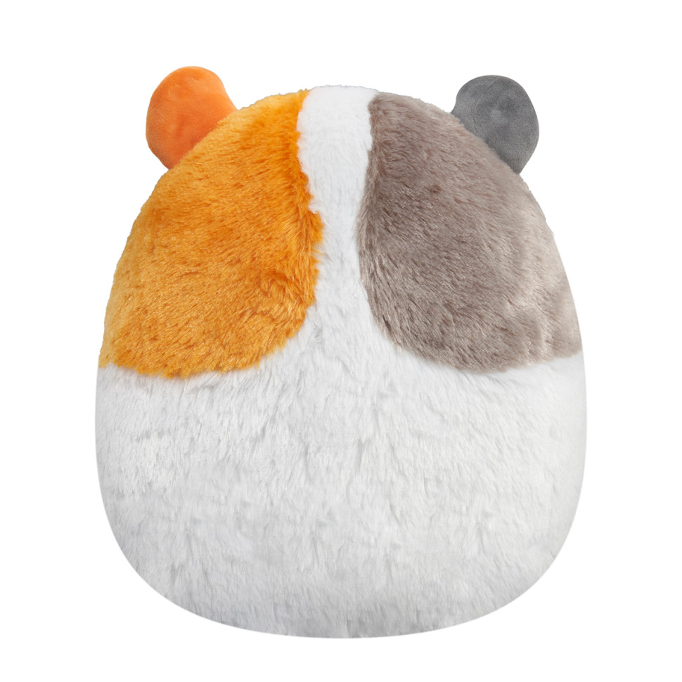 М'яка іграшка Морська свинка Еверетт Squishmallows SQCR00339, 30 см