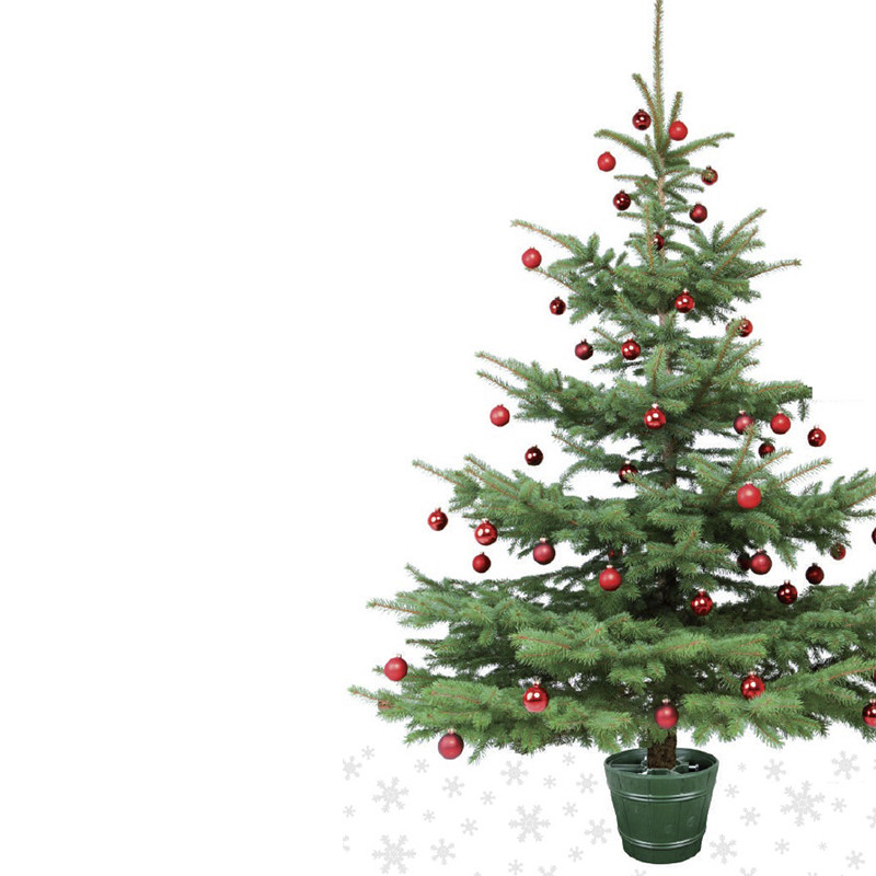 Подставка для елки Form-plastic 5907474317946 пластик, 11 л, темно-зеленая