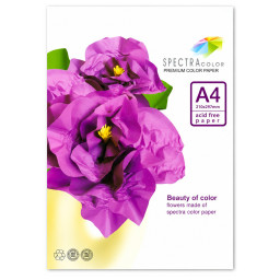 Цветная бумага Spectra Color 16.4253 А4, 5 цветов, 50 листов, 160 г/м&sup2;
