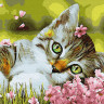 Картина за номерами. Rainbow Art "Кошеня в квіточках" GX34634-RA 