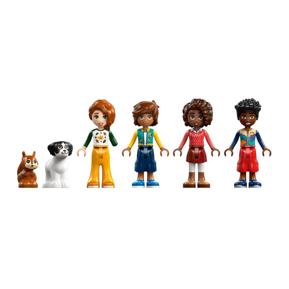 Конструктор Lego Friends 