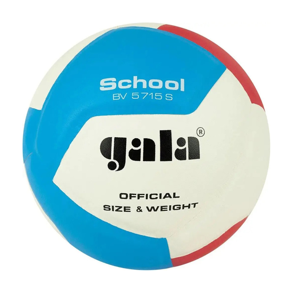 М'яч волейбольний School 12 Gala BV5715S №5