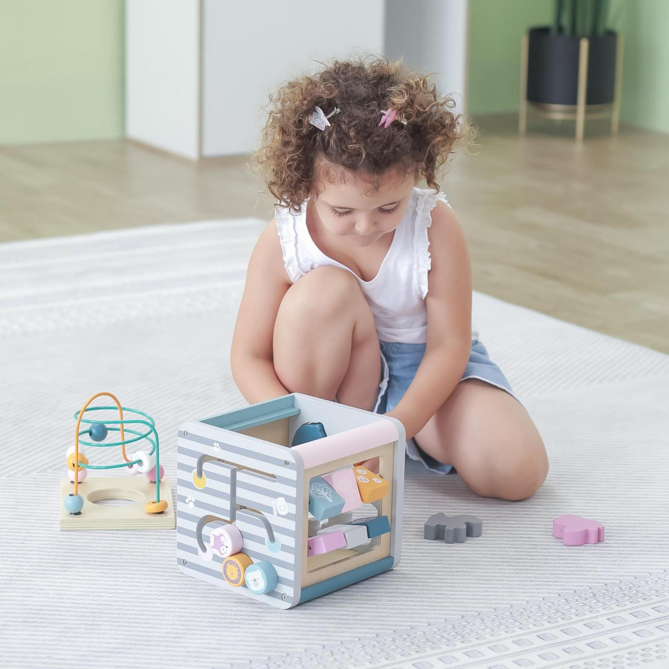 Бізікуб 5 в 1 Viga Toys PolarB 44030 дерев'яний