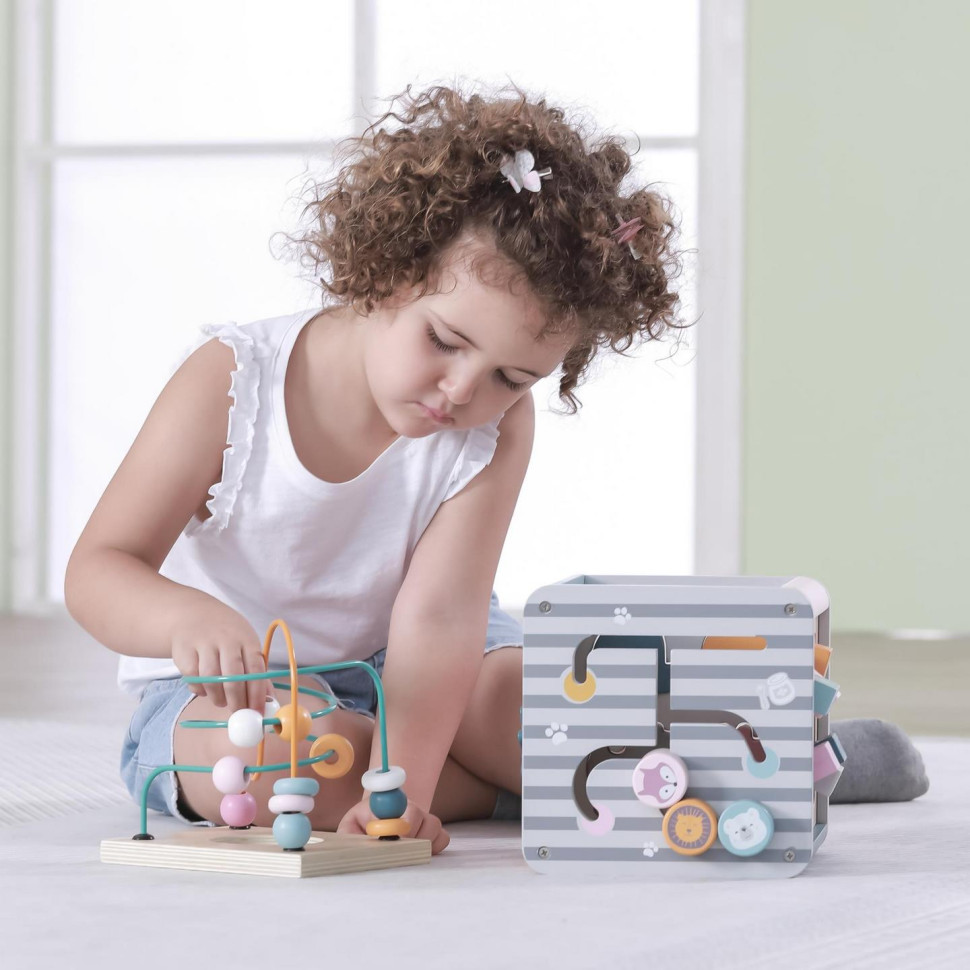 Бізікуб 5 в 1 Viga Toys PolarB 44030 дерев'яний