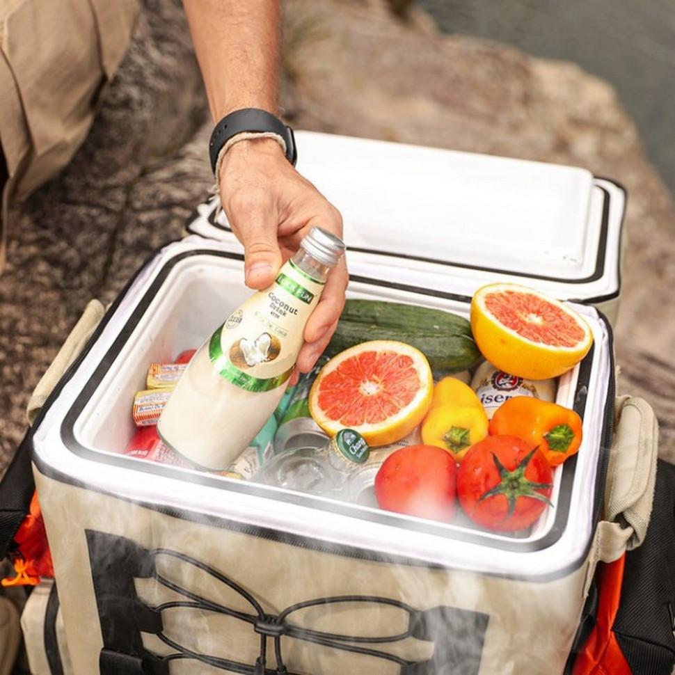 Аккумуляторный холодильник-рюкзак Litheli U20HW05-0U101 питание от павербанка 16 л